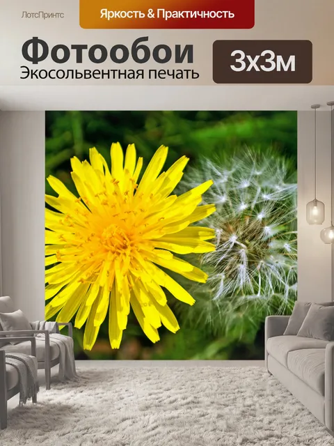 Фотообои Одуванчики