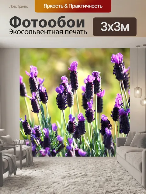 Фотообои Лаванда