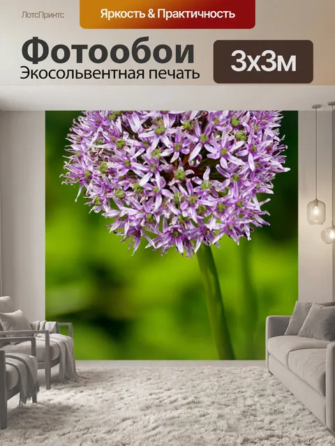 Фотообои Пейзаж