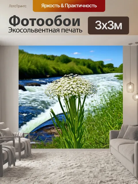 Фотообои борщевик у реки, на фоне стремящейся воды, его мощные стебли и белые цветы создают контраст с зеленью вокруг…