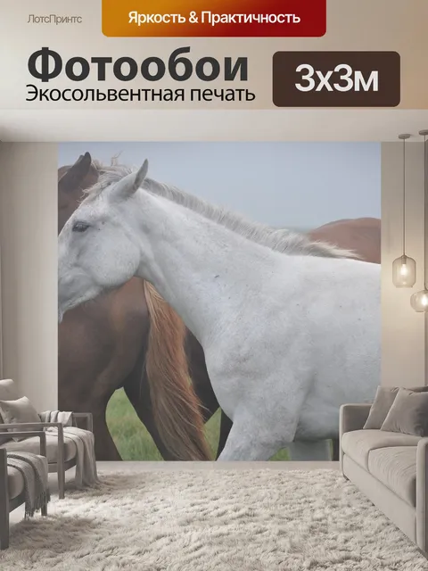 Фотообои Лошадь