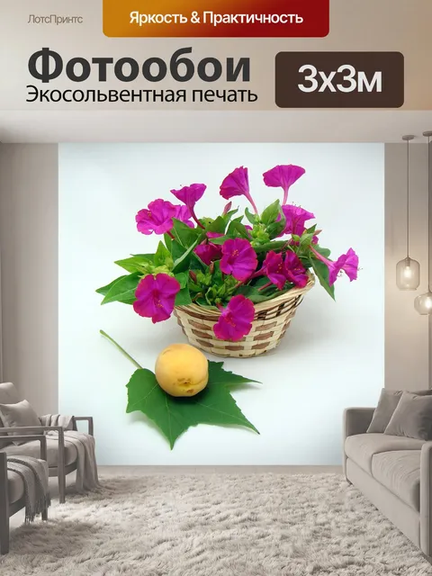 Фотообои Цветы