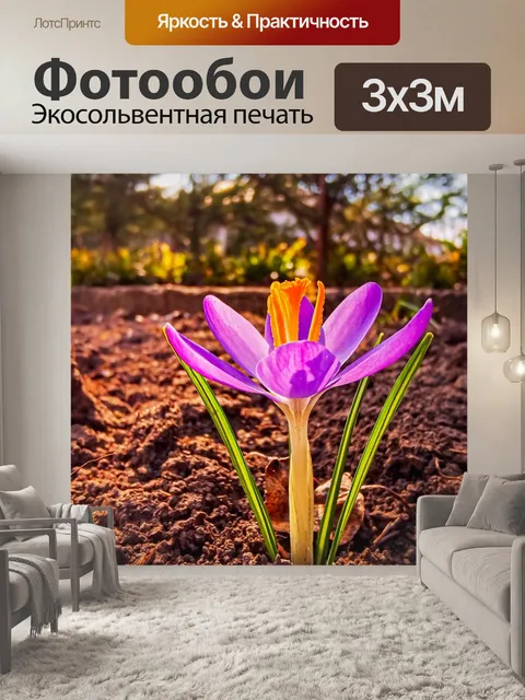 Фотообои Цветок