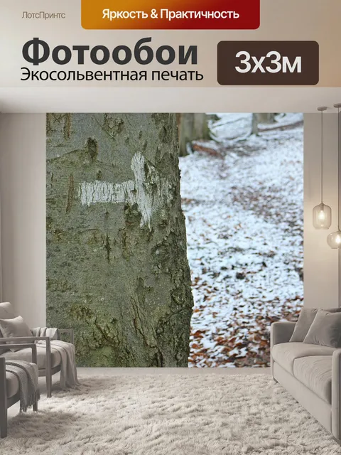 Фотообои Дерево