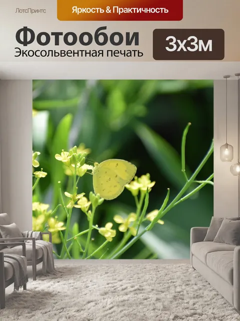 Фотообои Цветы