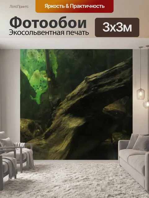 Фотообои Рыбы