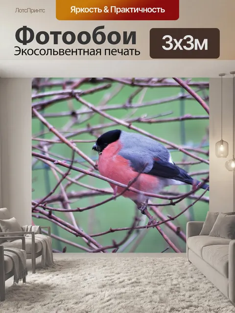 Фотообои Птица