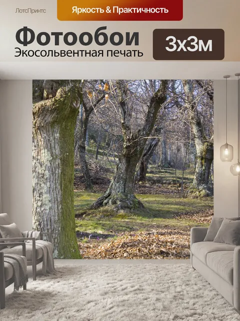 Фотообои Лес
