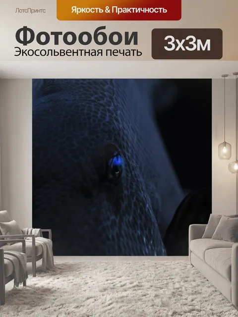 Фотообои Рыбы