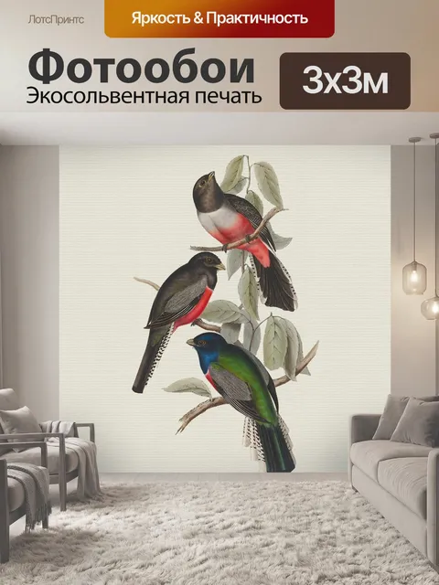 Фотообои Птица