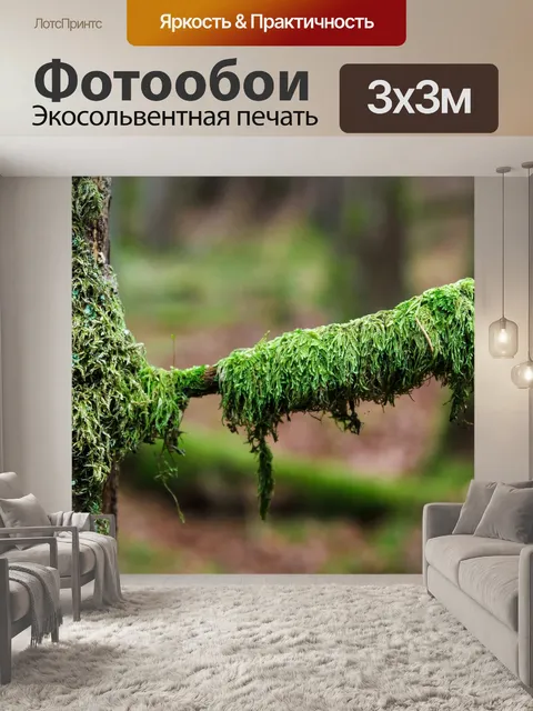 Фотообои Лес