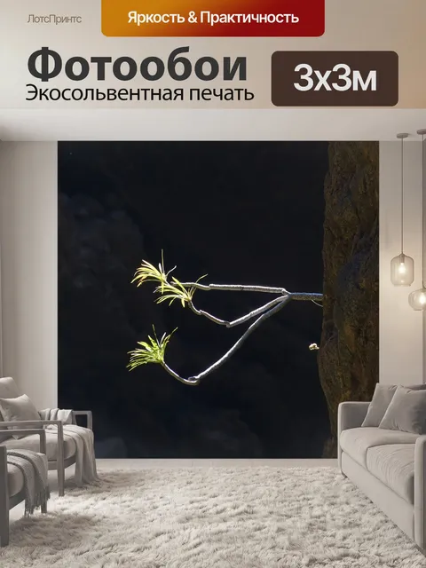 Фотообои Камень