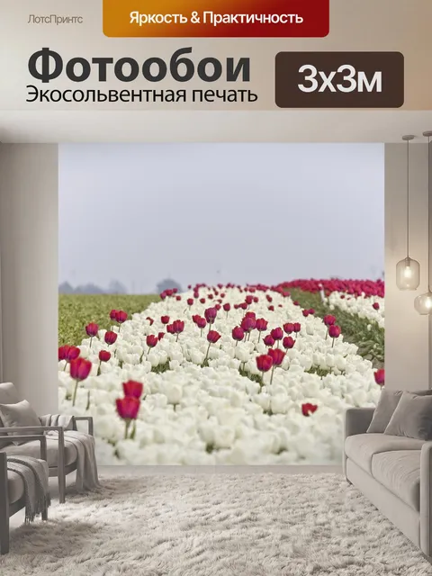 Фотообои Тюльпан