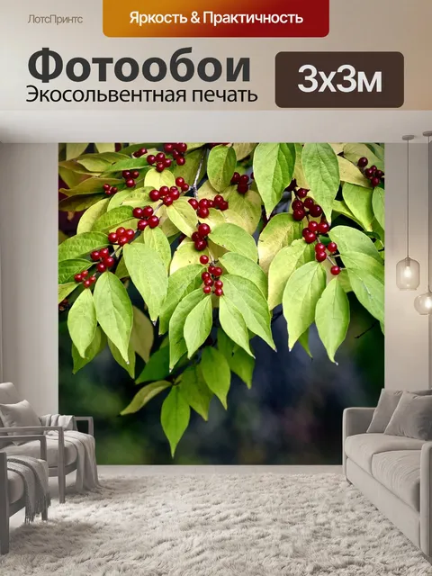 Фотообои Листья