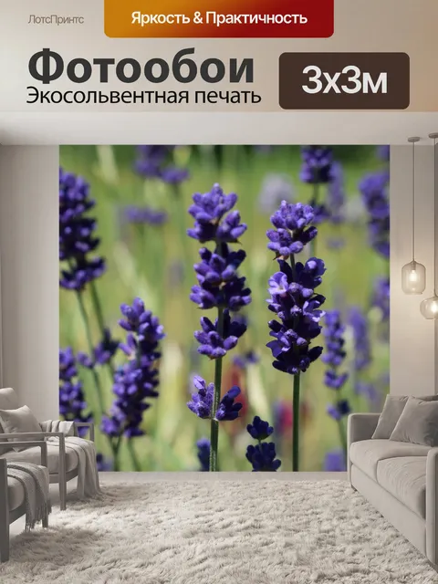 Фотообои Лаванда