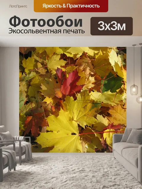 Фотообои Клен