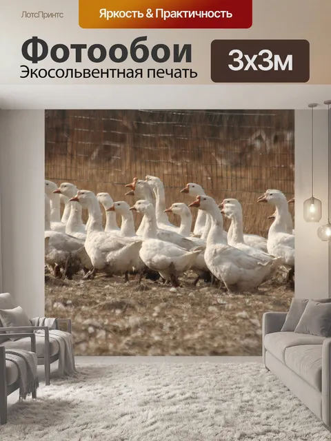 Фотообои Гуси