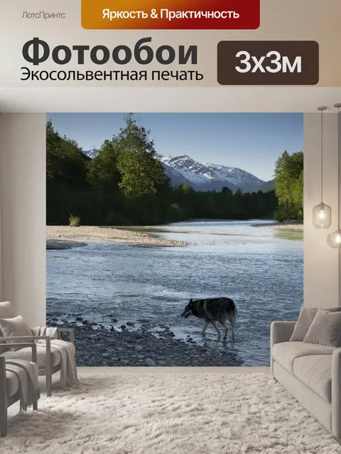 Фотообои Собака