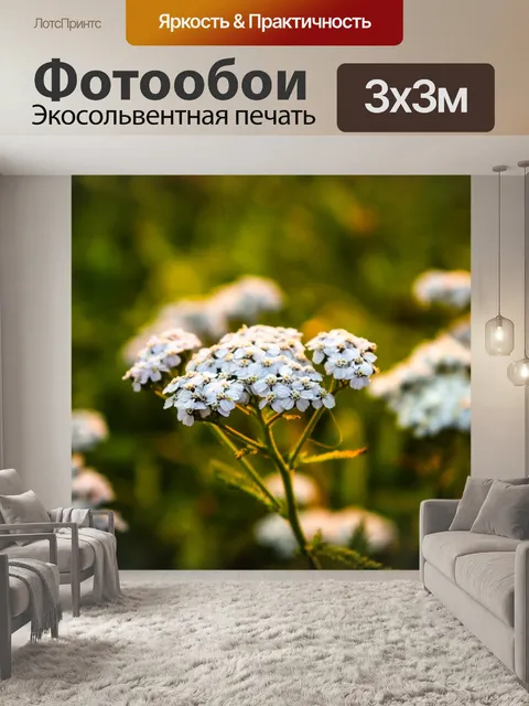 Фотообои Луг