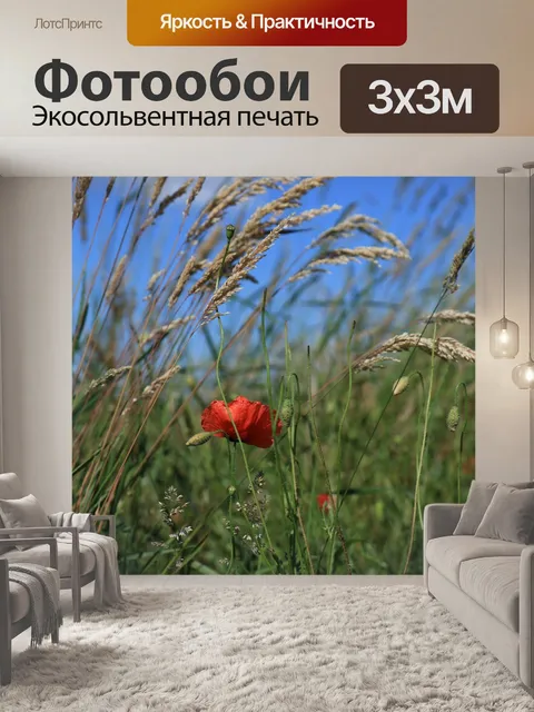 Фотообои Маки