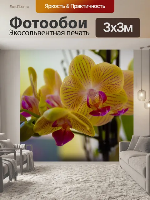 Фотообои Орхидеи