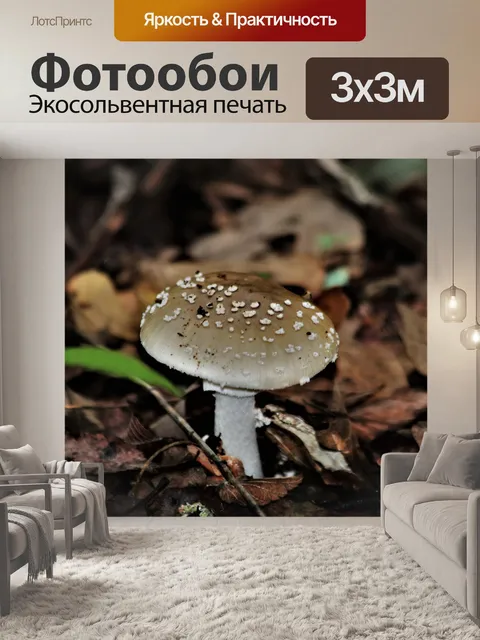 Фотообои Коричневый гриб мухомора в листьях
