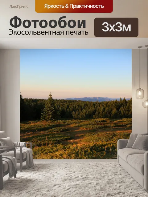 Фотообои Лес