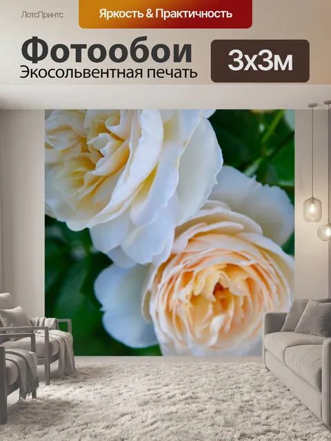 Фотообои Розы