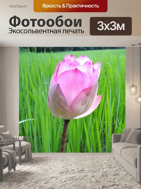 Фотообои Вода