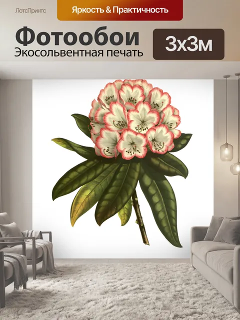 Фотообои Цветы