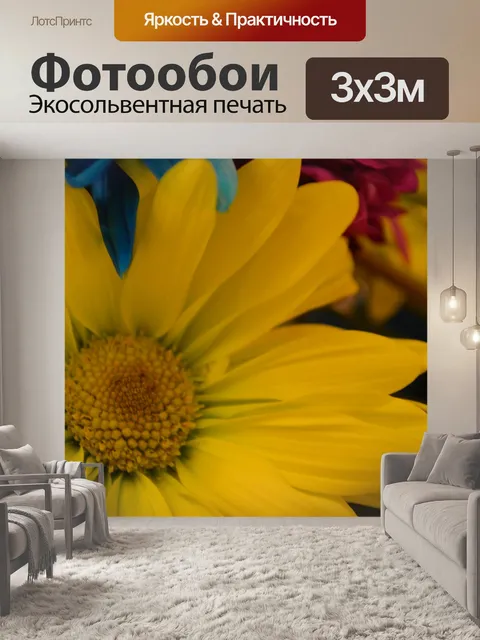 Фотообои Ромашки Цветет Цветы Макро
