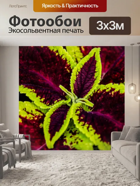 Фотообои Листья