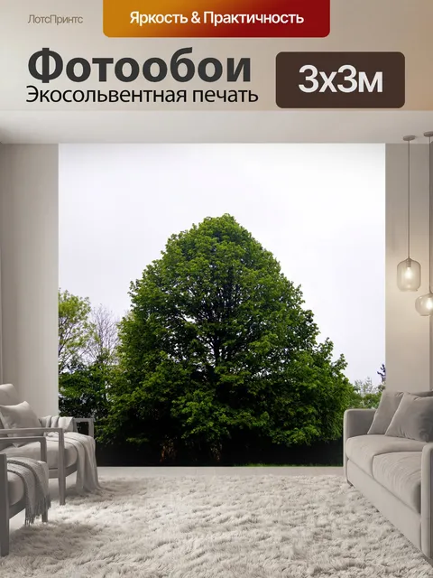 Фотообои Дерево
