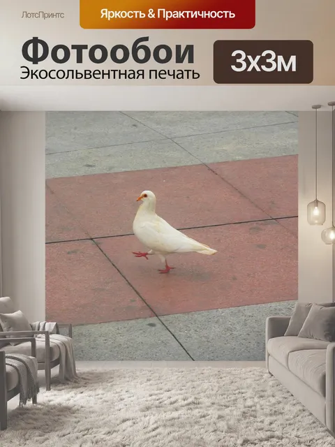 Фотообои Белый