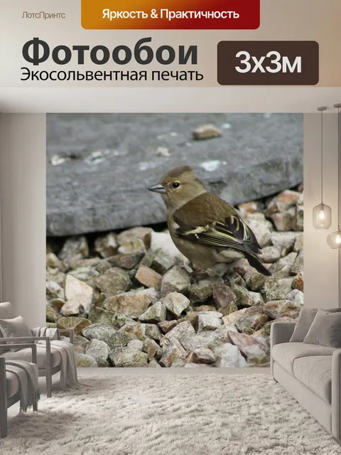 Фотообои Птица