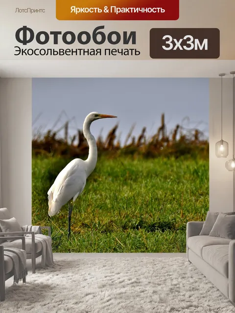 Фотообои Цапля