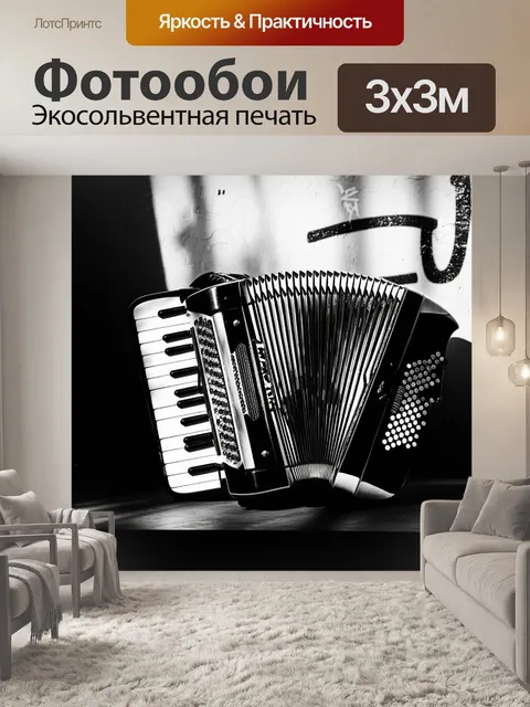 Фотообои чёрно-белая фотография аккордеона, в который просвечиваются лучи солнца