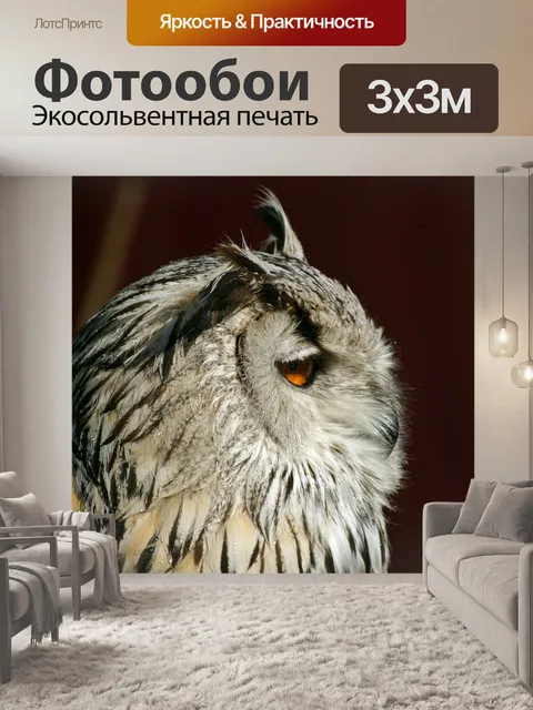 Фотообои Сова