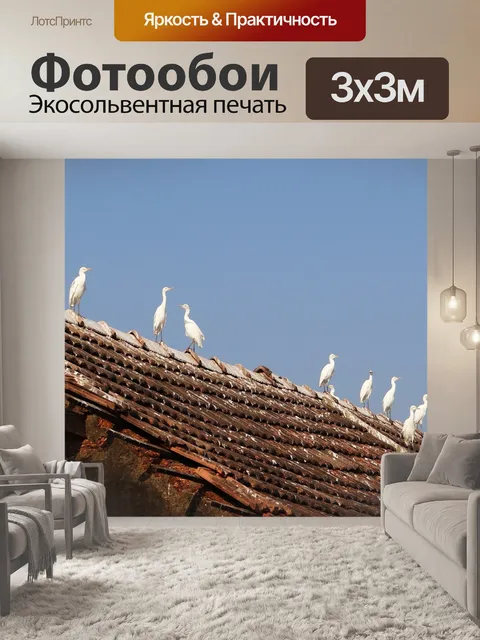 Фотообои Малая белая цапля
