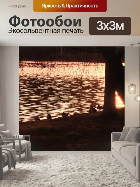 Фотообои Силуэты