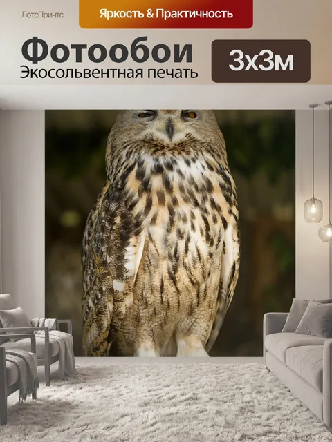 Фотообои Сова