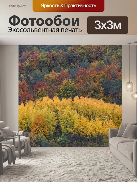 Фотообои Лес