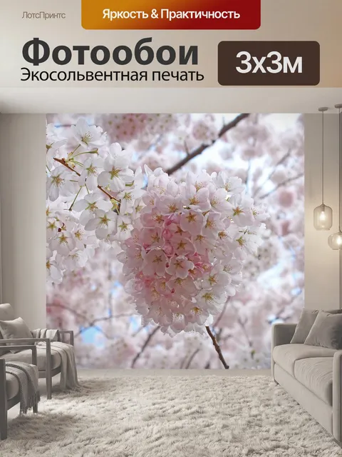 Фотообои Сакура вишни в цвету