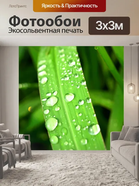 Фотообои Капля воды на листе