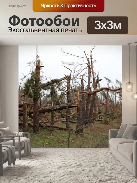 Фотообои Деревья