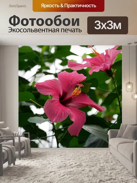 Фотообои Листья