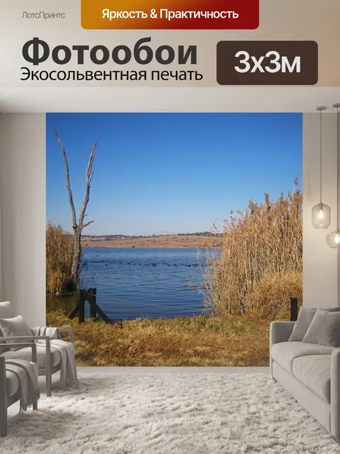 Фотообои стая водоплавающих птиц на риетвлее