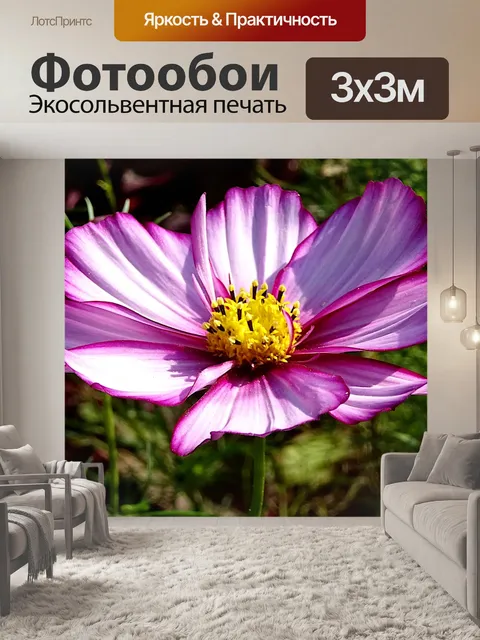 Фотообои Фиолетовый цветок в цвету
