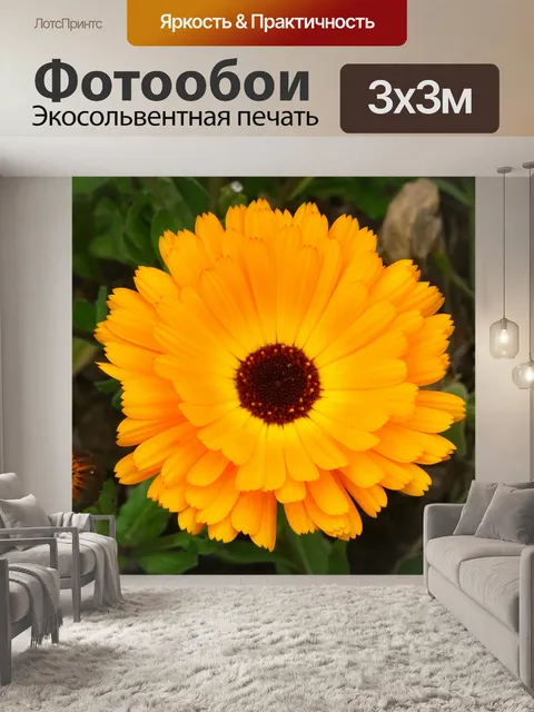Фотообои Оранжевый сад Флора