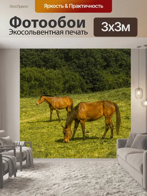 Фотообои Лошадь